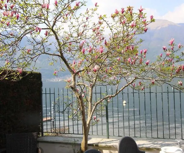 Апартаменты Romantic Dream On The Lake *